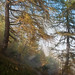 Ray Wallis Photo 28