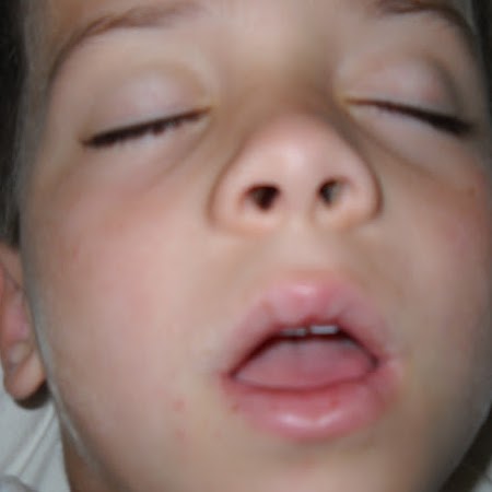 Carter Webb Photo 13