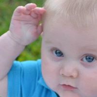 Robert Levitt Photo 43