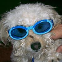 Carolyn Glass Photo 34