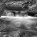 Kelly Whiting Photo 21