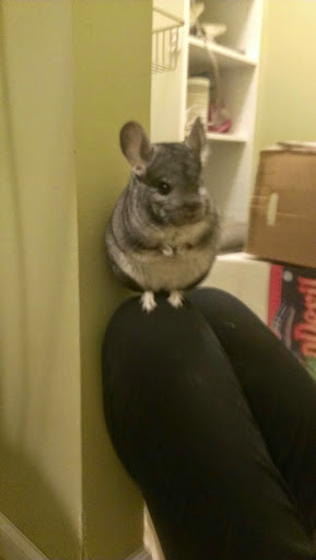 Steven Stein Photo 23