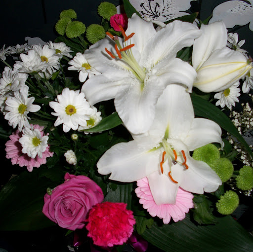 Sarah Whitson Photo 23