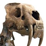 James Forbes Photo 3