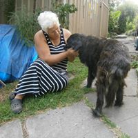 Ann Henning Photo 21