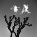Joshua Skelton Photo 38
