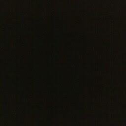 Sandra Randall Photo 29