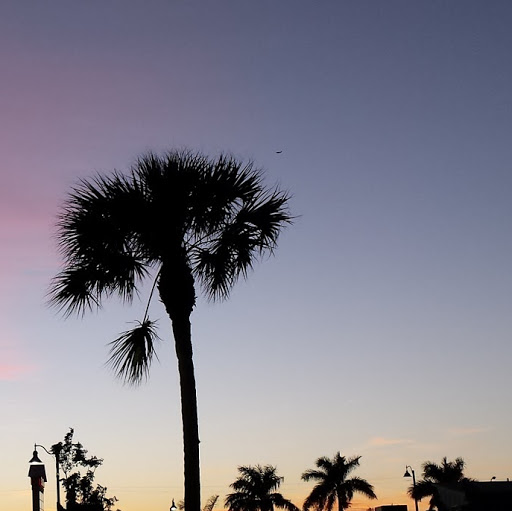 Julie Gorman Photo 39