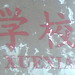 Yan Chan Photo 31