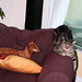 Marcy Marcy Photo 19