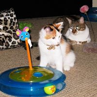 Melinda Morris Photo 38