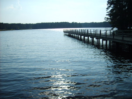 Kathy Coker Photo 9