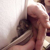 Janet Harkey Photo 6