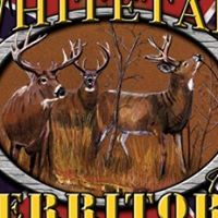 Charles Schmitt Photo 15