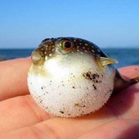 Jennifer Kestner Photo 11