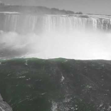 Doug Goodman Photo 40