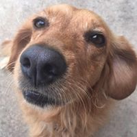 Teresa Fitch Photo 17