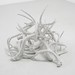 Art Swanson Photo 32