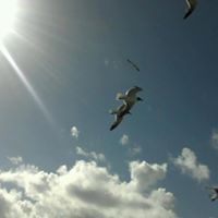 Michele Hoffman Photo 23