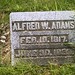 Alfred Adams Photo 43