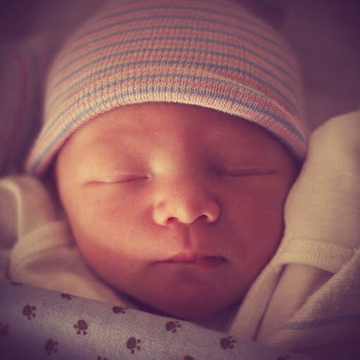 Robin Graham Photo 24