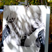 Richard Rock Photo 22