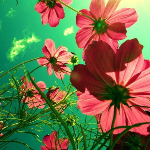 Jennifer Hazen Photo 28 Jennifer Hazen Photo 28