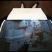 Brian Mccurry Photo 17