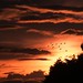 Dawn Risk Photo 10