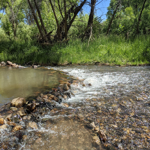 Robyn Davis Photo 15