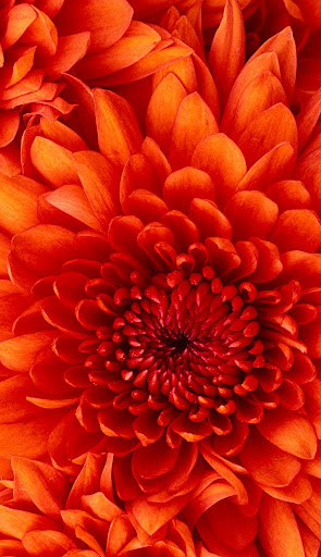 Cassandra Webster Photo 18