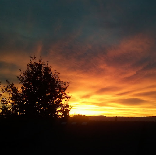Chris Flesher Photo 16