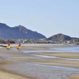 Debbie Covey Photo 7