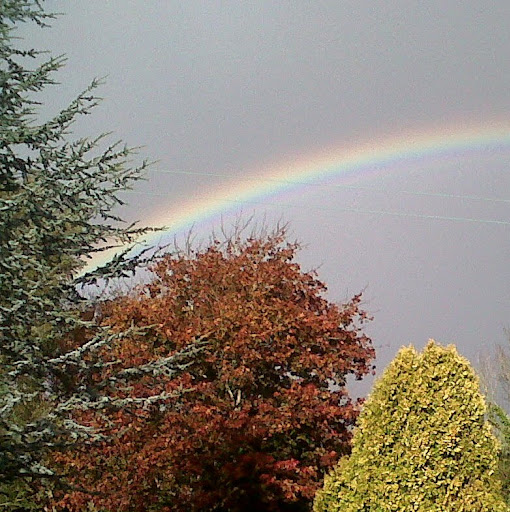 Joanne Doyle Photo 29
