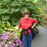 Irene Lowe Photo 5