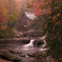 Judy Watkins Photo 6 Judy Watkins Photo 6