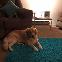 Carolyn Dale Photo 23