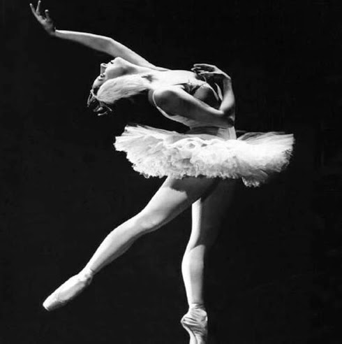 Susan Mejia Photo 17