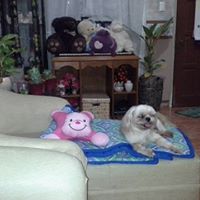 Shirley Manzano Photo 15