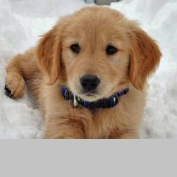 Kelly Sweeney Photo 27