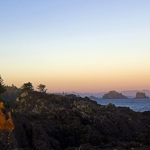 James Whiting Photo 21