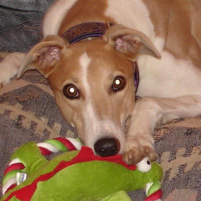 Jane Browne Photo 41 Jane Browne Photo 41