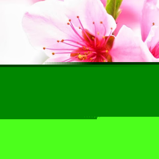 Samantha Breen Photo 14