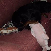 Darlene Case Photo 18