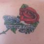 Lynne Rose Photo 20