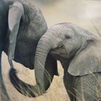 Tracey Simms Photo 30