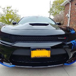 Jerry Newman Photo 28