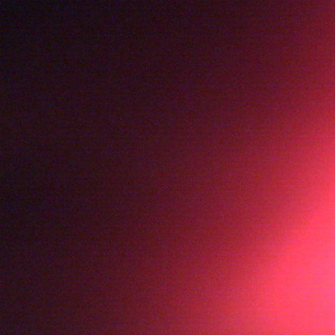 Nicholas Gallo Photo 36