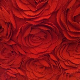 Jane Andrews Photo 28 Jane Andrews Photo 28