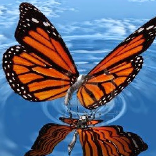 Danielle Peake Photo 5